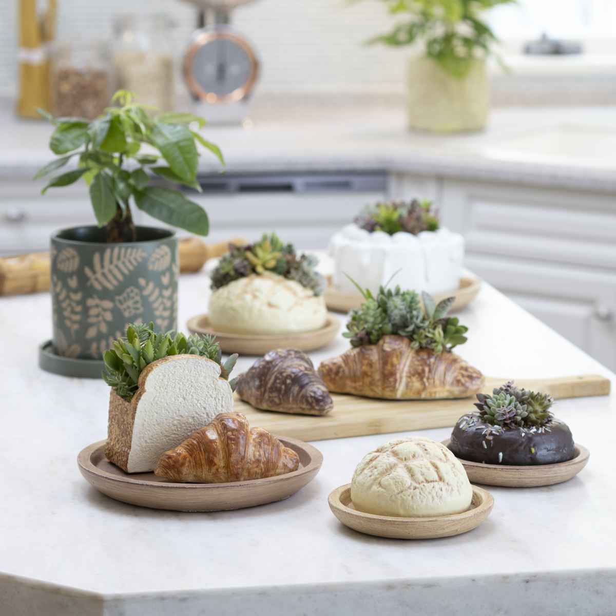 植木鉢 グテ メロンパン ポット （ プランター プラントポット 植物用