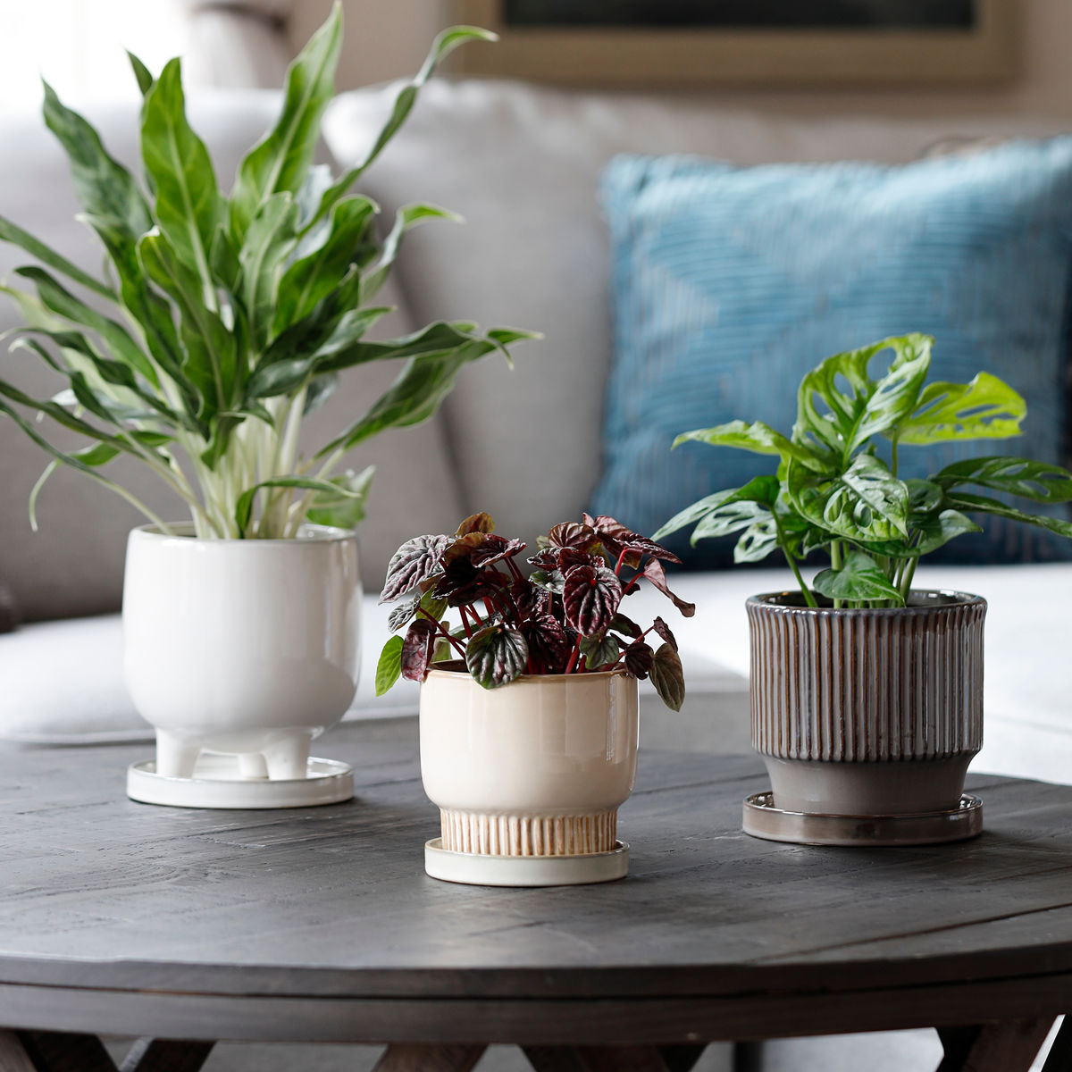 5号鉢 陶器（植木鉢）｜鉢、プランター｜園芸用品 | 花、ガーデニング