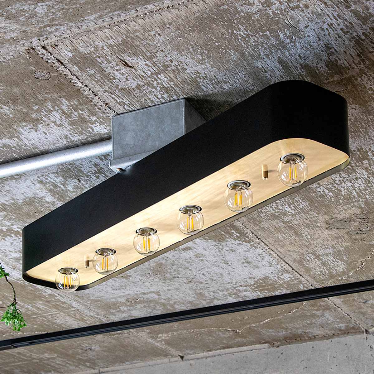 シーリングライト 6灯 LED電球付き ボール球 バーミラ gram eight グラムエイト （ 天井照明 照明 照明器具 電気 電球付き ）_3