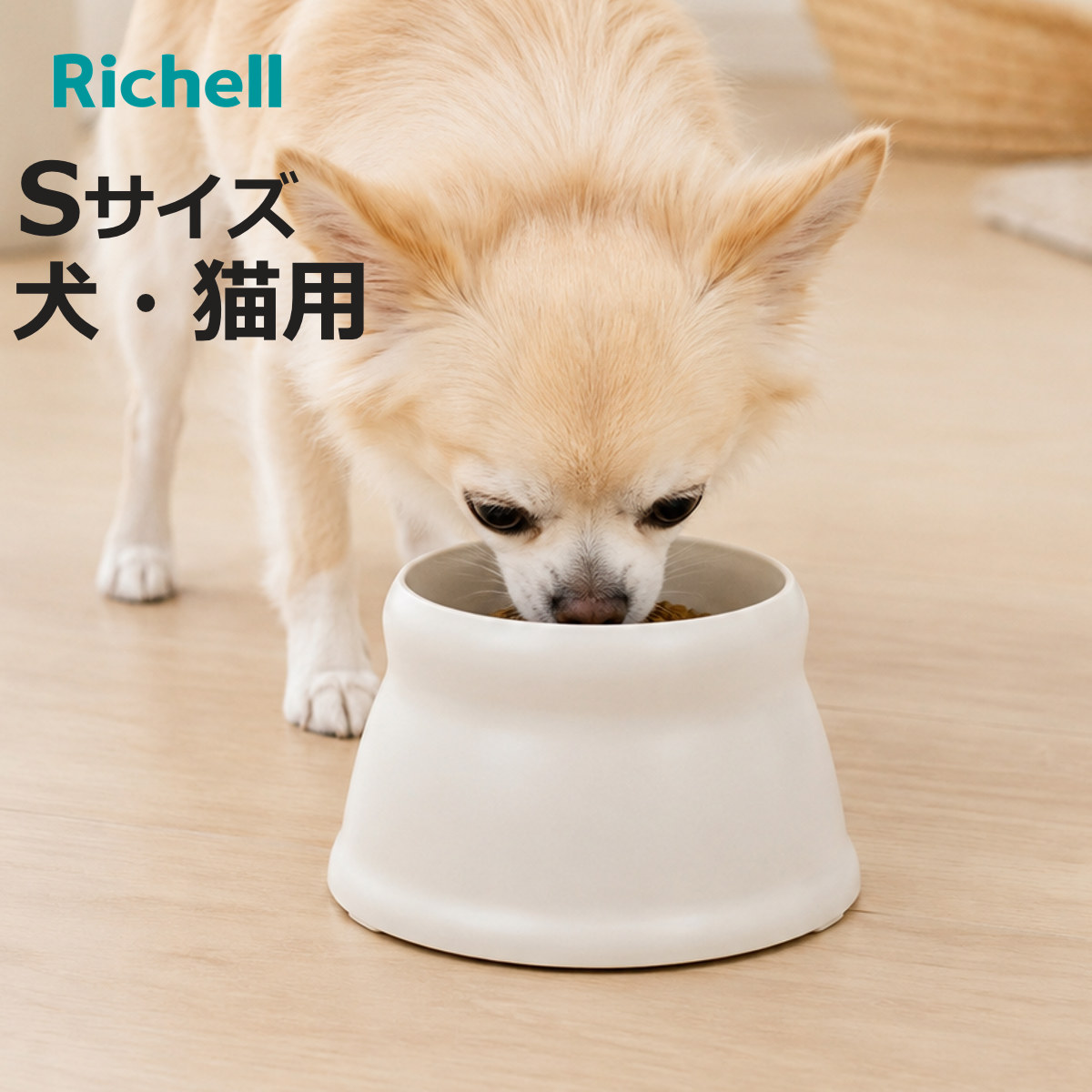 ペット食器 エコル こぼれにくい 脚付ディッシュ S ( エサ皿 餌皿 ペット用 斜め 傾斜 食洗機対応 )