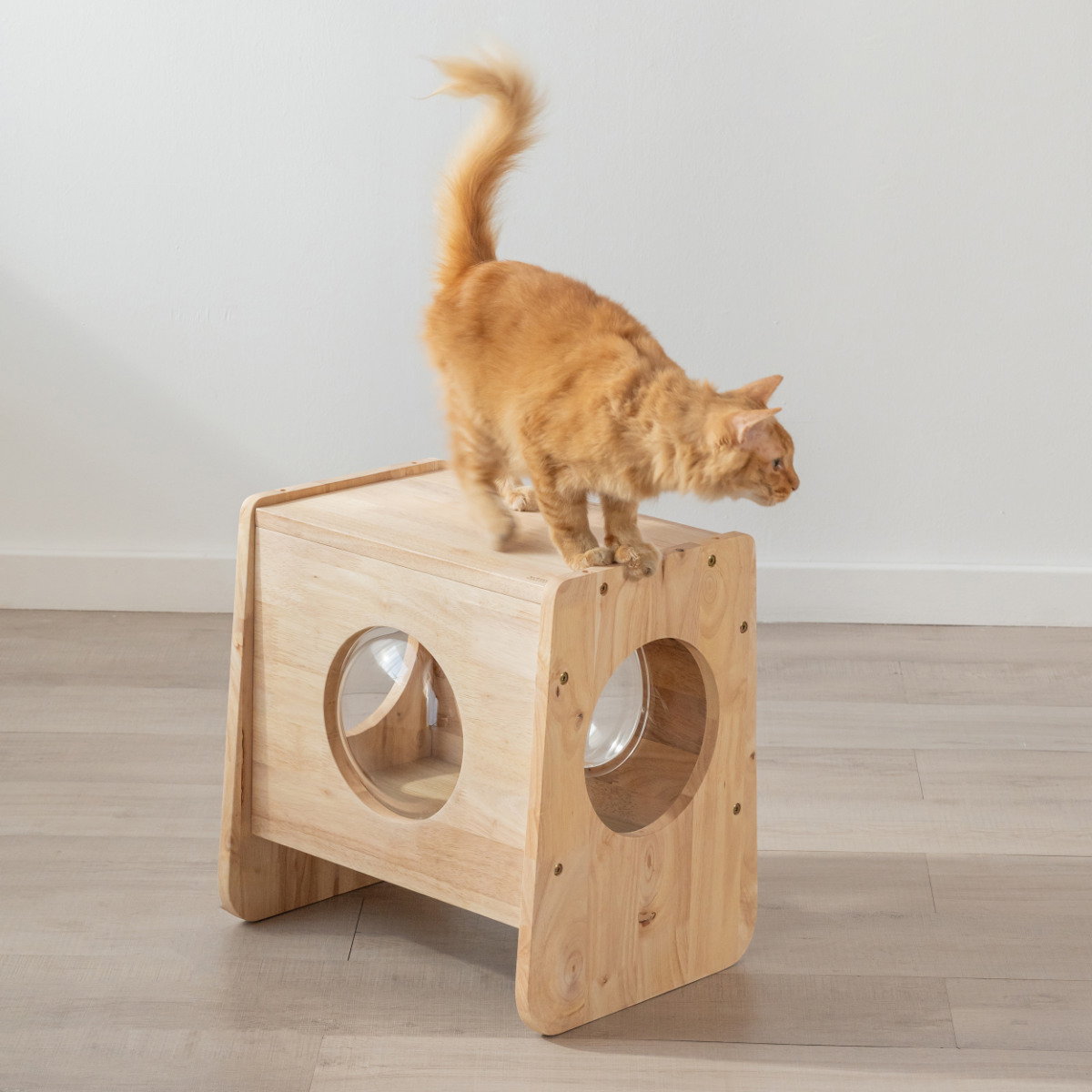 ねこ 椅子 木製のおすすめ人気商品一覧 通販 - Yahoo!ショッピング