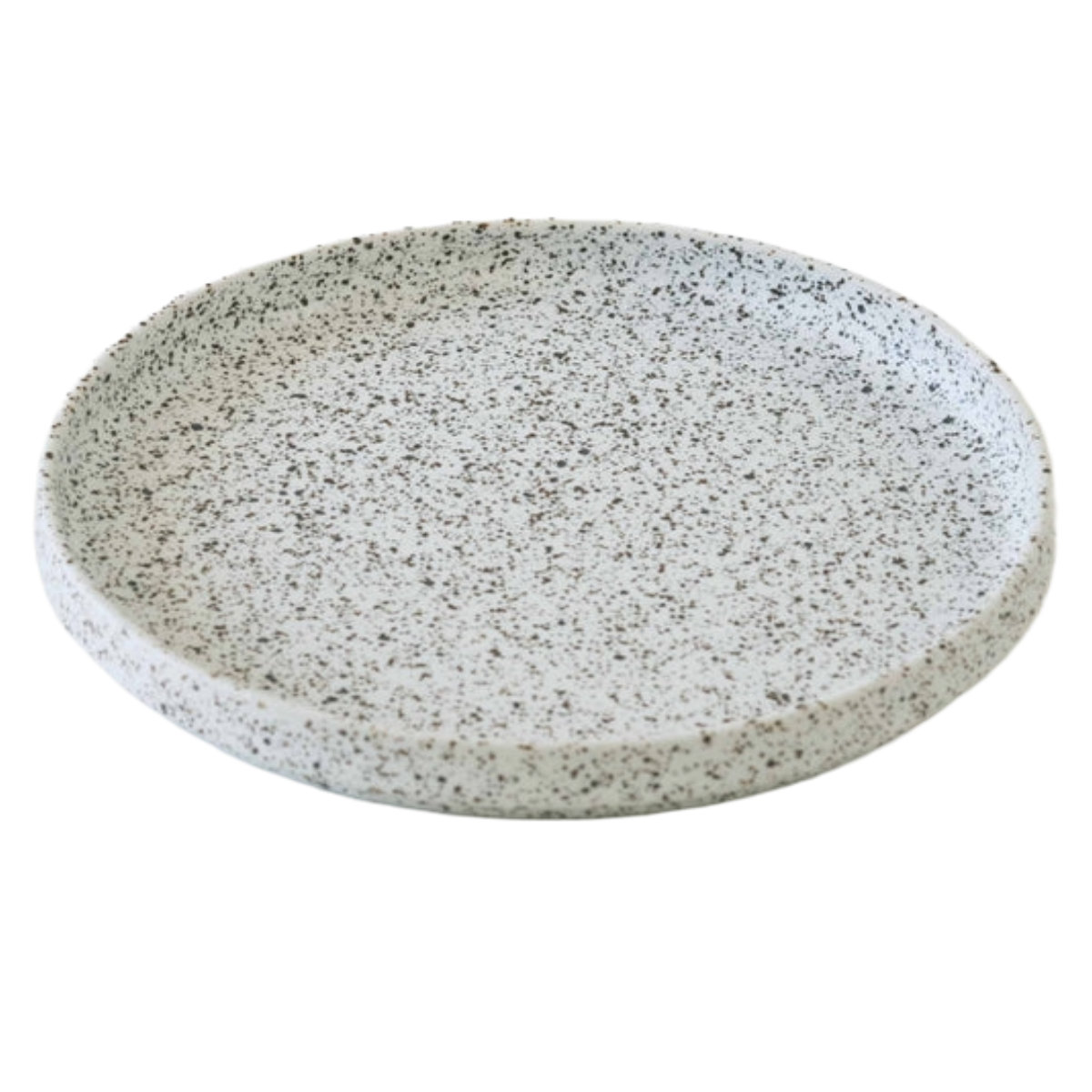 きほんのうつわ プレート 切立プレート 25cm （ 食洗機対応 電子レンジ
