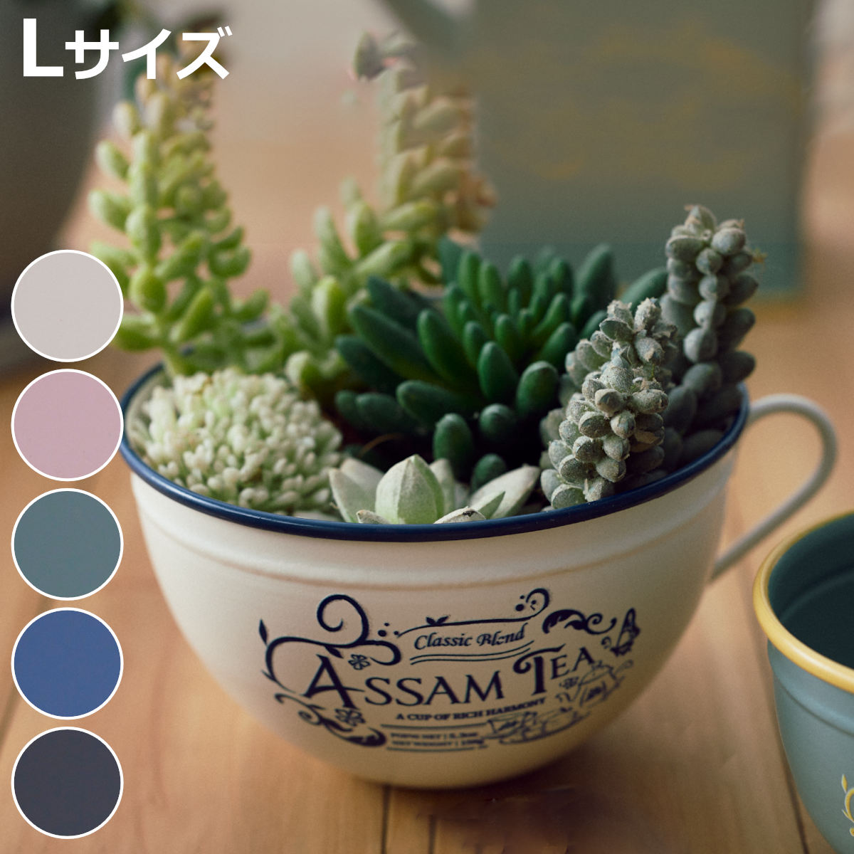 植木鉢 アンフュゼ・ティーカップ L アンティーク （ ポット プラントポット 鉢 穴無し アイアン ティーカップ型 ）
