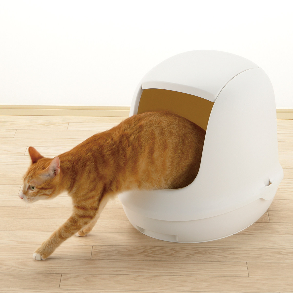 猫トイレ ドーム型（猫用品） | ペット用品、生き物 の商品一覧 通販