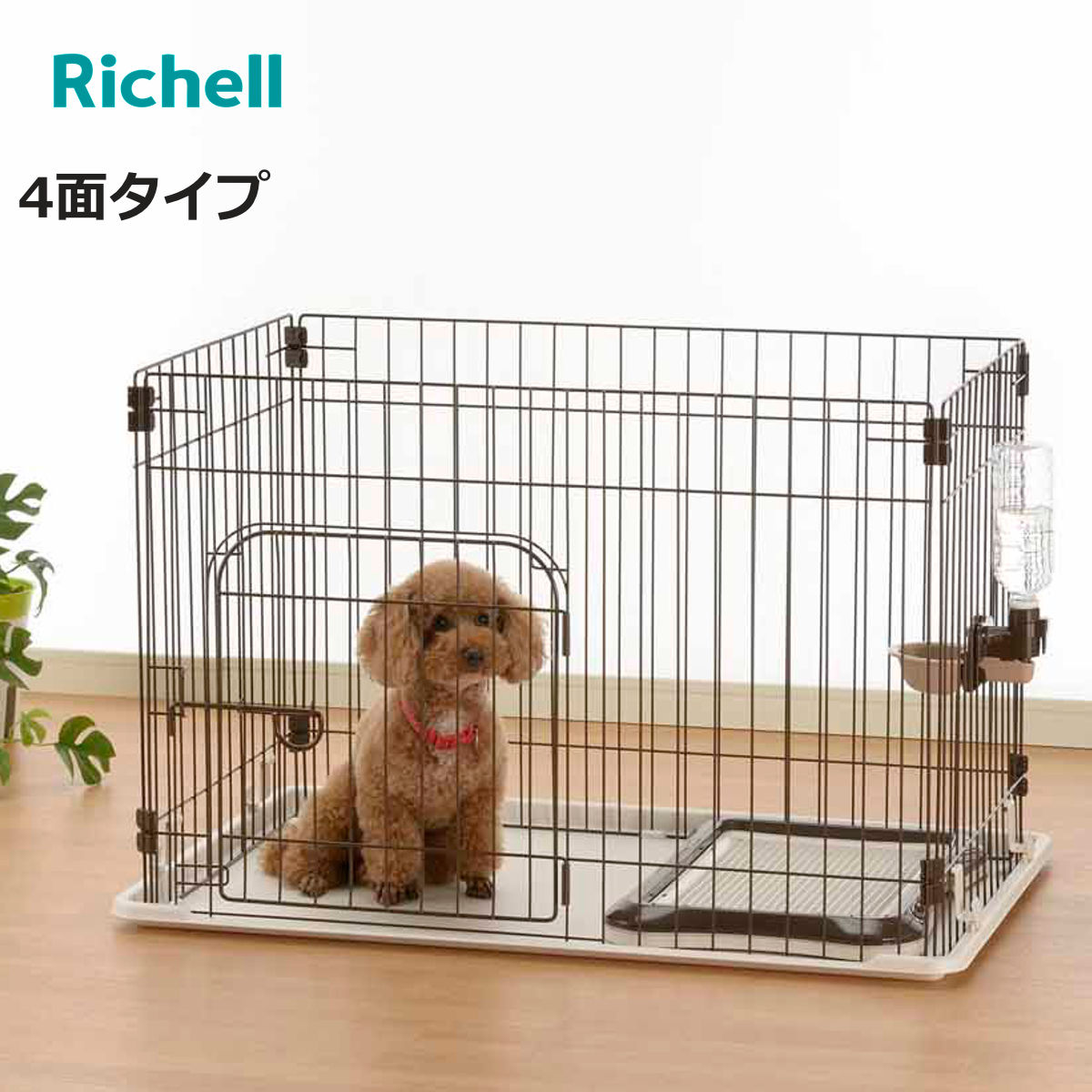 ケージ 60cm」の人気商品一覧・価格比較 - 価格.com