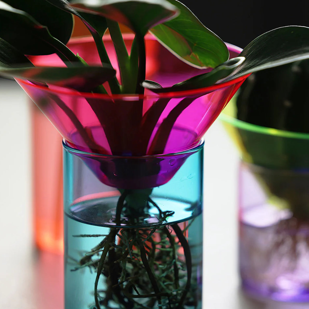 magnet フラワーベース GLOW GROW AQUA BLOOM ガラス （ 花ビン 花びん