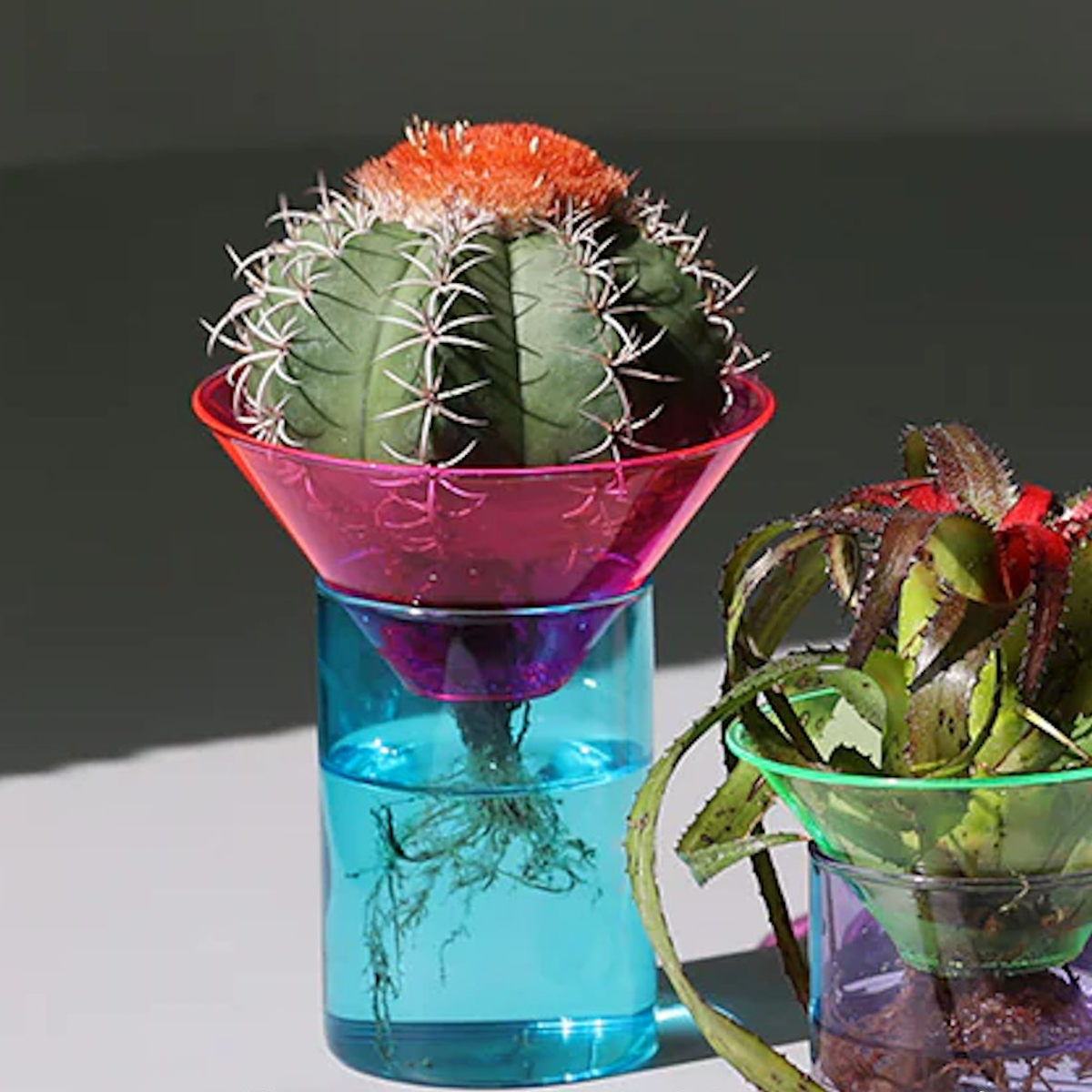 magnet フラワーベース GLOW GROW AQUA BLOOM ガラス （ 花ビン 花びん