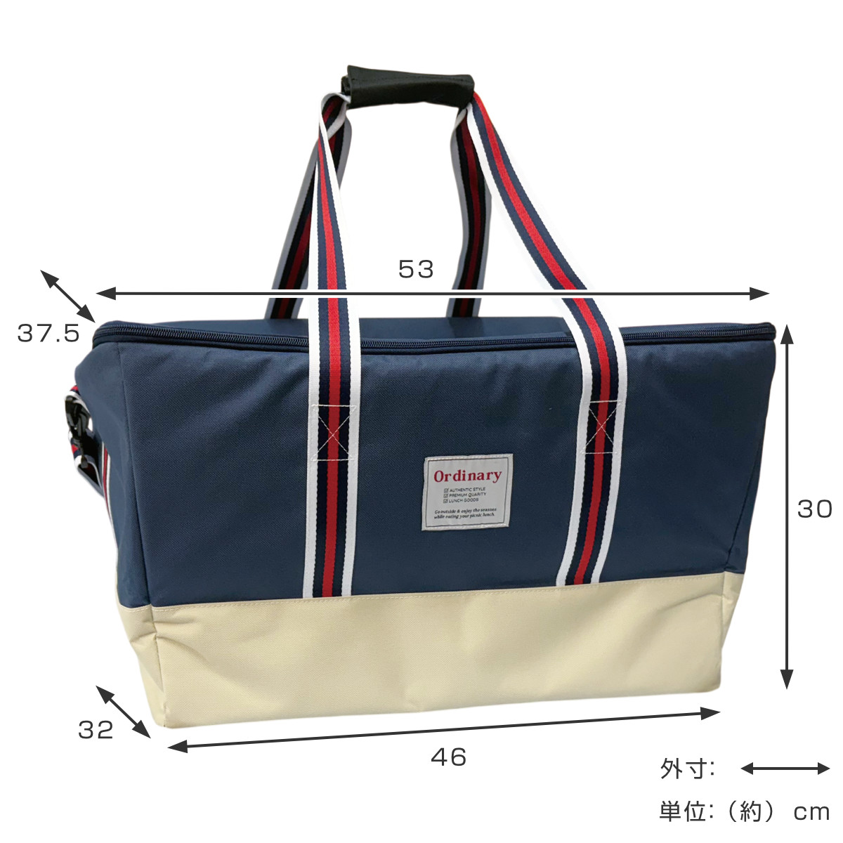 エコバッグ 48L レジまるクーラーバッグ 保...の詳細画像2