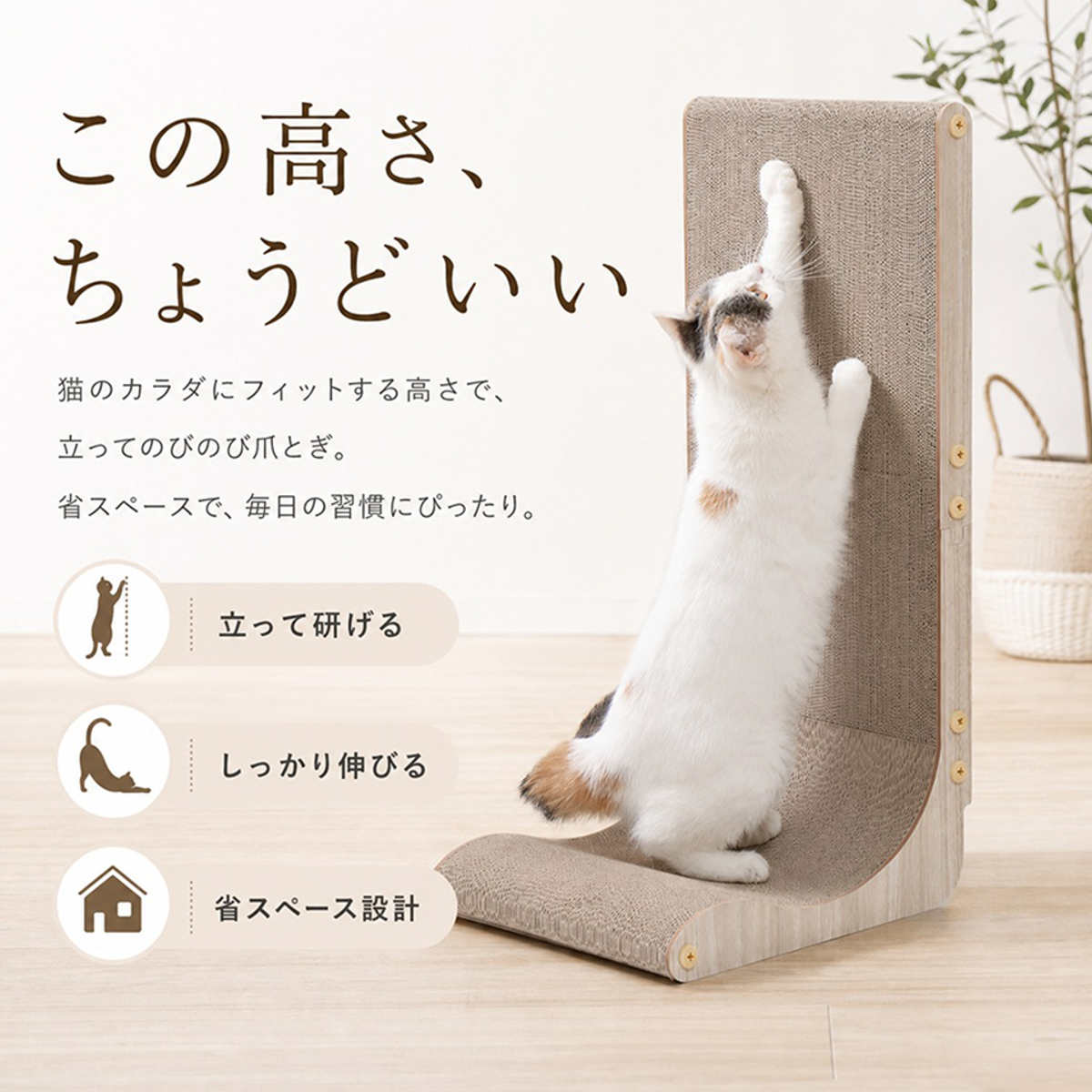 爪とぎ 縦型 壁面 ウォールスクラッチ 軽量 ...の詳細画像3