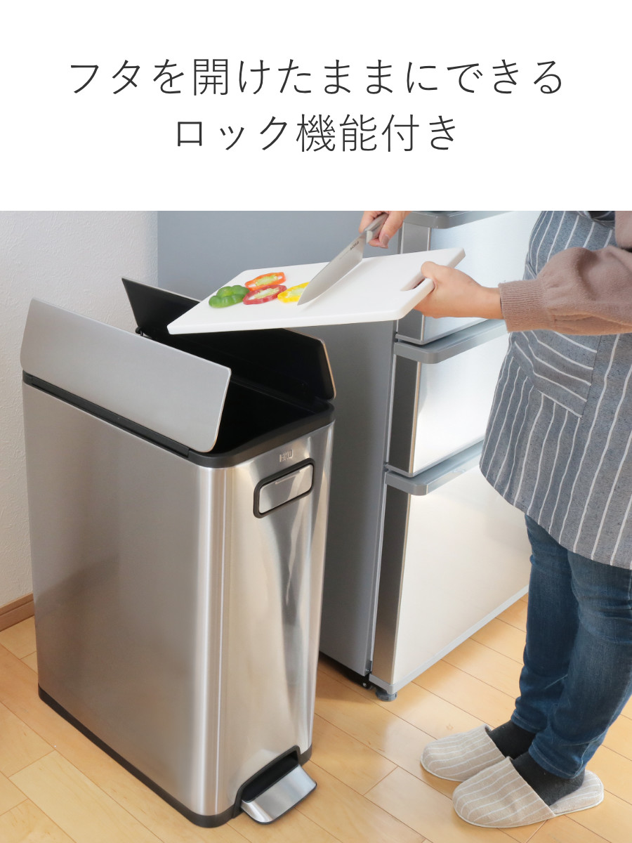 EKO（イーケーオー） ゴミ箱 20L×2 分別 エコフライステップビン