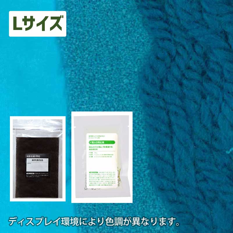 1kgの素材用「L」サイズ：ウール・ナイロン用 染色キット 全20色】そめ 