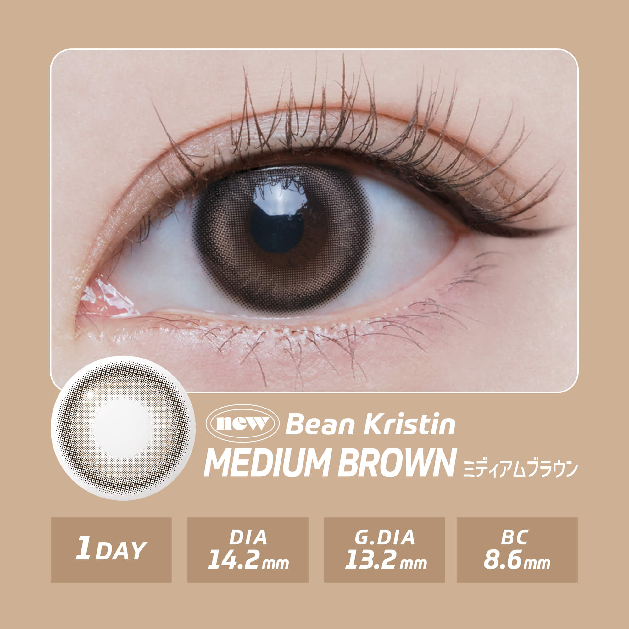 【新色】韓国 カラコン ワンデー ハパクリスティン Hapa Kristin 10枚入り  ワンアンドオンリー ビーン One&Only Bean Kristin [日本国内配送] | Hapa Kristin | 01