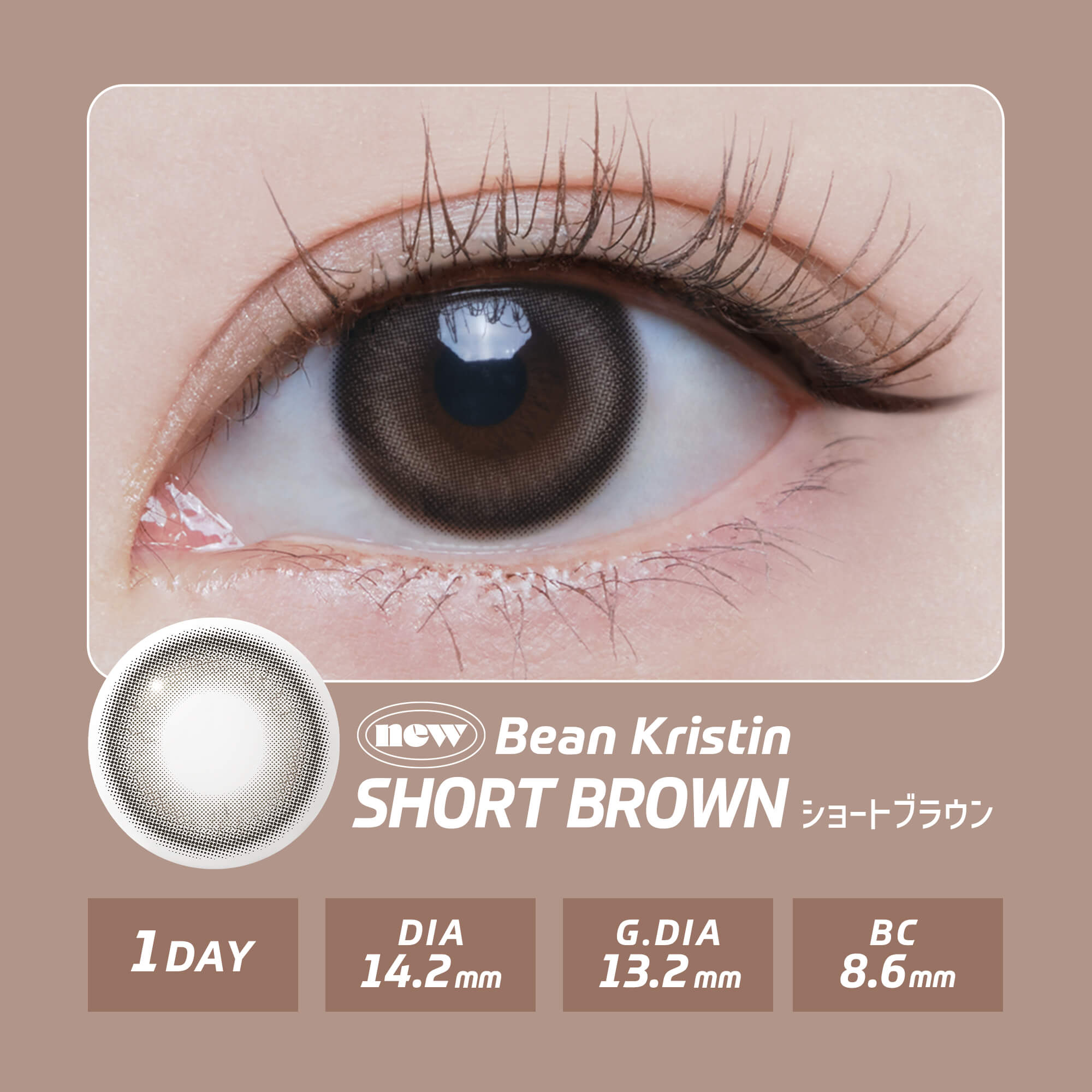 【新色】韓国 カラコン ワンデー ハパクリスティン Hapa Kristin 10枚入り  ワンアンドオンリー ビーン One&Only Bean Kristin [日本国内配送] | Hapa Kristin | 02