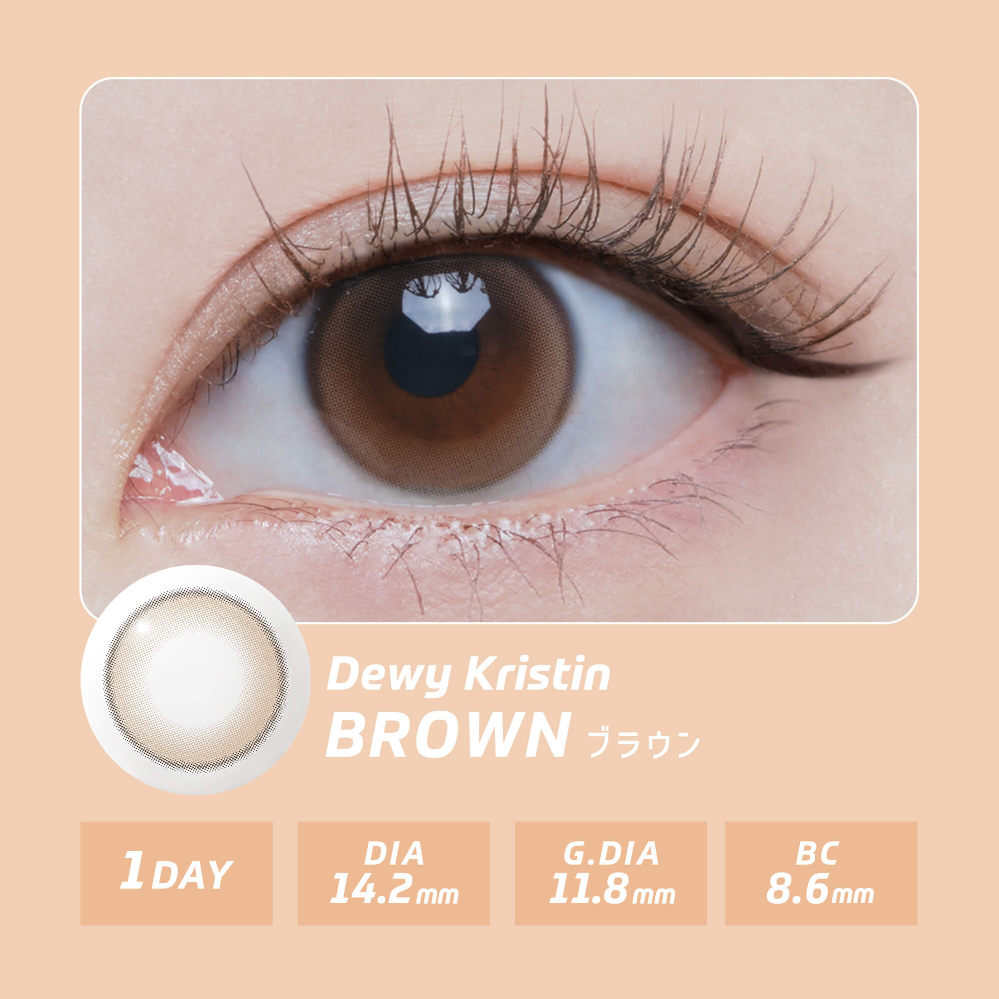 【新色】韓国 カラコン ワンデー ハパクリスティン Hapa Kristin 10枚入り  ワンアンドオンリー ビーン One&Only Bean Kristin [日本国内配送] | Hapa Kristin | 14