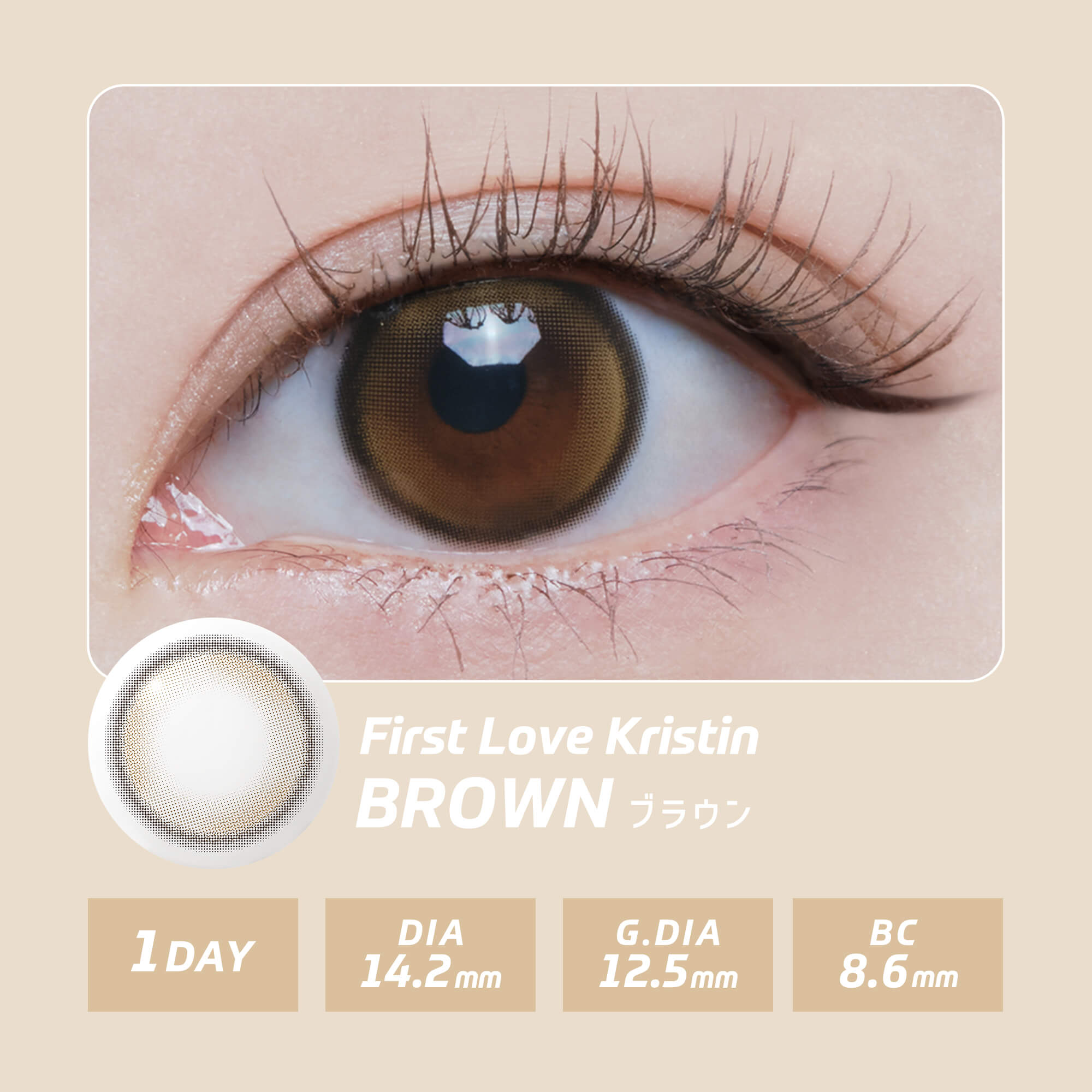 【新色】韓国 カラコン ワンデー ハパクリスティン Hapa Kristin 10枚入り  ワンアンドオンリー ビーン One&Only Bean Kristin [日本国内配送] | Hapa Kristin | 07