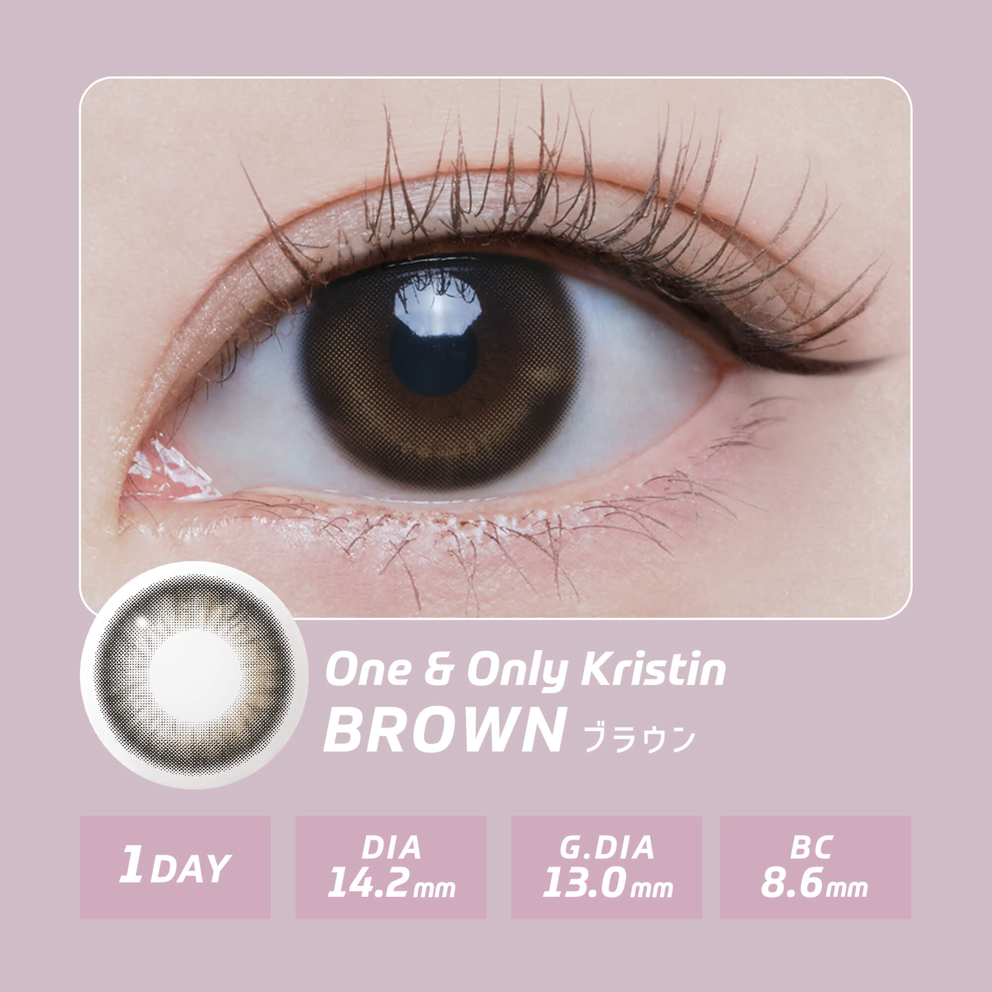 【新色】韓国 カラコン ワンデー ハパクリスティン Hapa Kristin 10枚入り  ワンアンドオンリー ビーン One&Only Bean Kristin [日本国内配送] | Hapa Kristin | 13