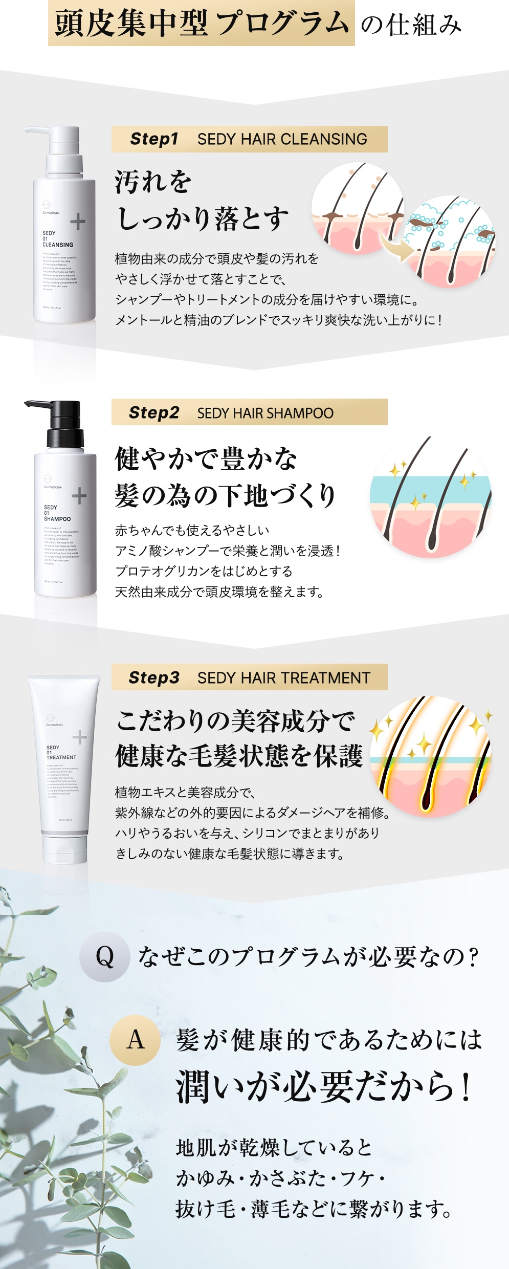 湘南美容 SEDY ヘアクレンジング・シャンプー・トリートメント 3点セット 湘南美容外科クリニック SBC商品 シャンプー クレンジング