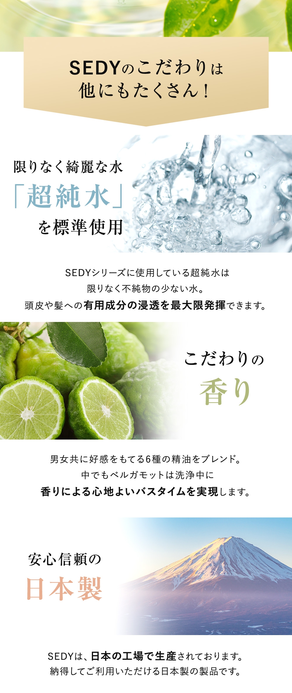 Co-medical+ トリートメント SEDY01 : シーオーメディカル 公式