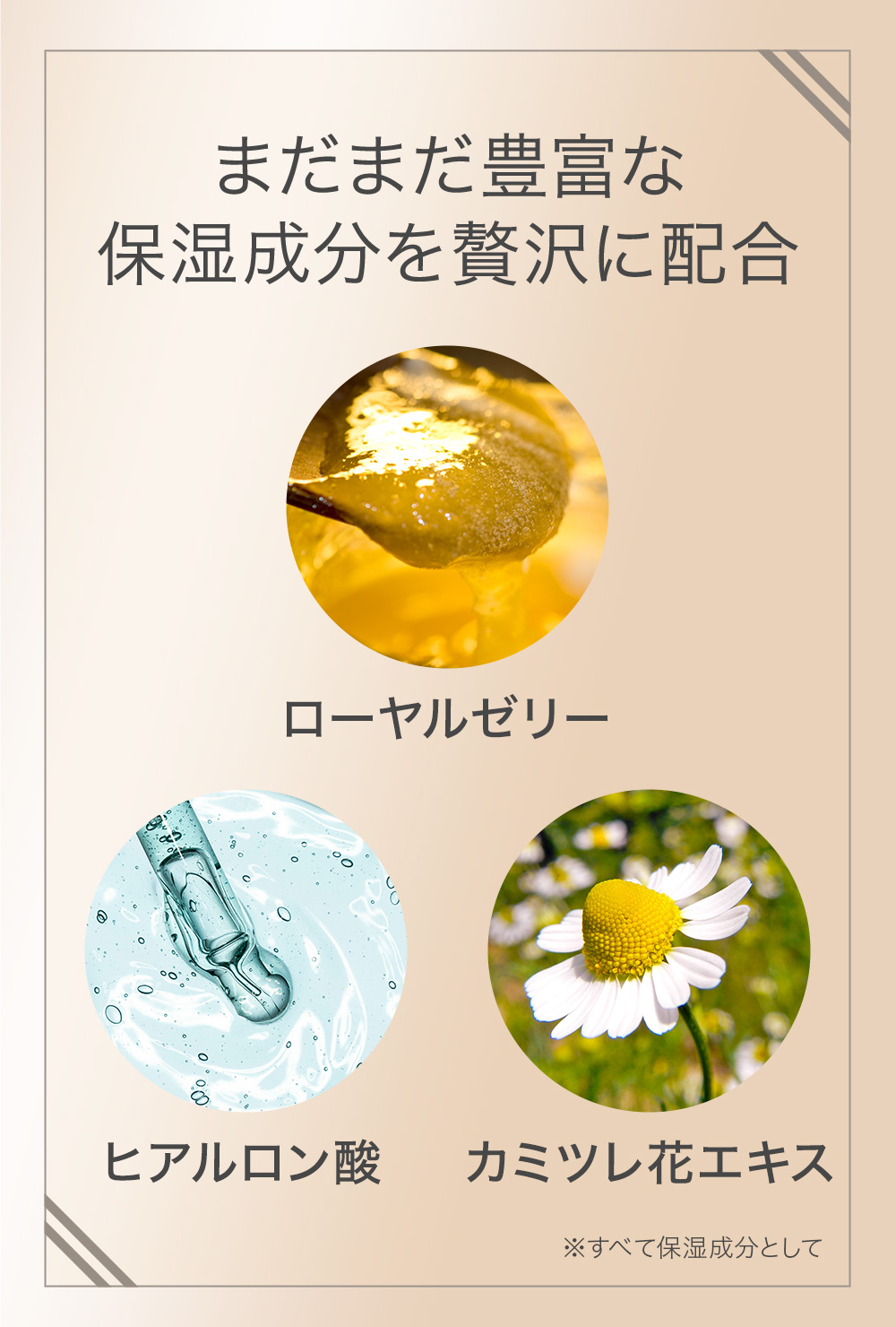 ロングラッシュザリッチ まつげ美容液 8ml 2本 CO ロングラッシュザリッチ - Co-medical+ 公式サイト