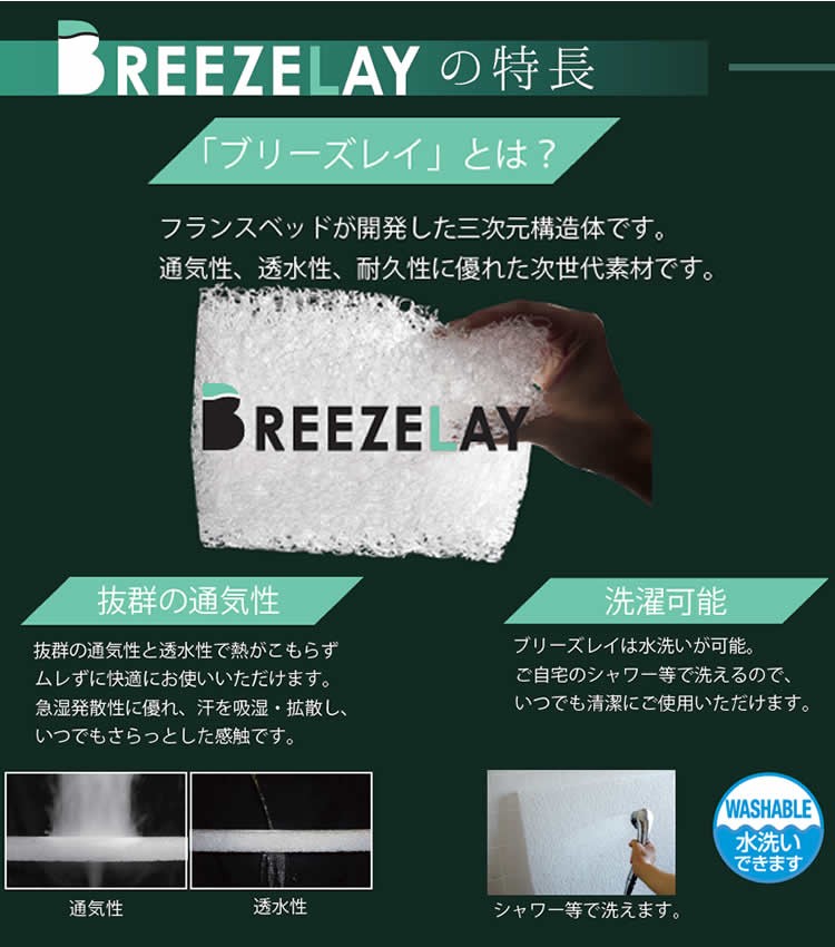 フランスベッド（FRANCEBED） ベッドパッド ボディテクト シングル