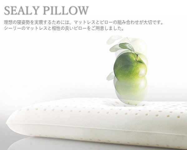 Sealy（シーリー） ソロテックスピロー60 使用時高さ6cm シーリー