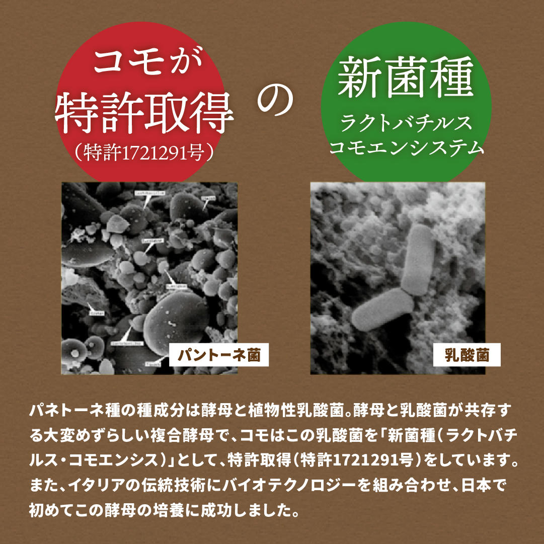 イタリアンカラー化粧箱入りギフト 9種類11個入 パン セット コモパン ギフト 備蓄 非常食 朝食 間食 常温 保存 長期保存 | COMO | 14