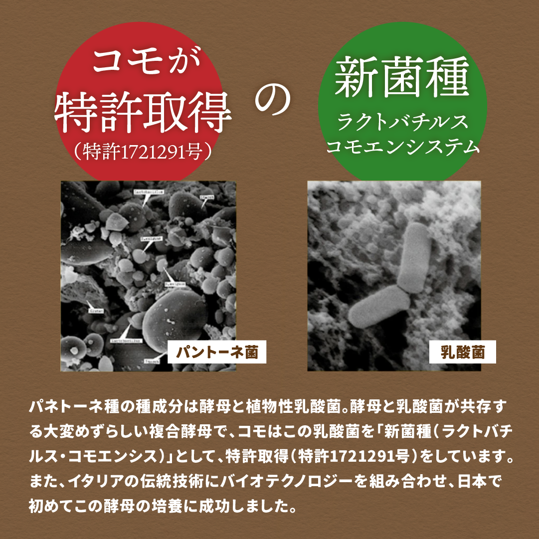 夏期限定 デニッシュレモンヨーグルト 18個入 賞味期間60日 パン ギフト ロングライフパン 贈り物 備蓄 デニッシュ 非常食 備蓄用 朝食 間食 常温 保存 | COMO | 08