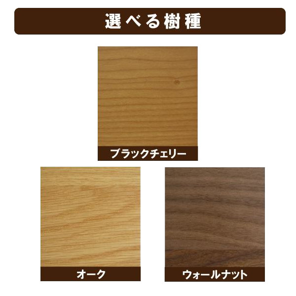 開梱設置付 テレビ台 テレビボード ローボード エルバ オッジオ 幅