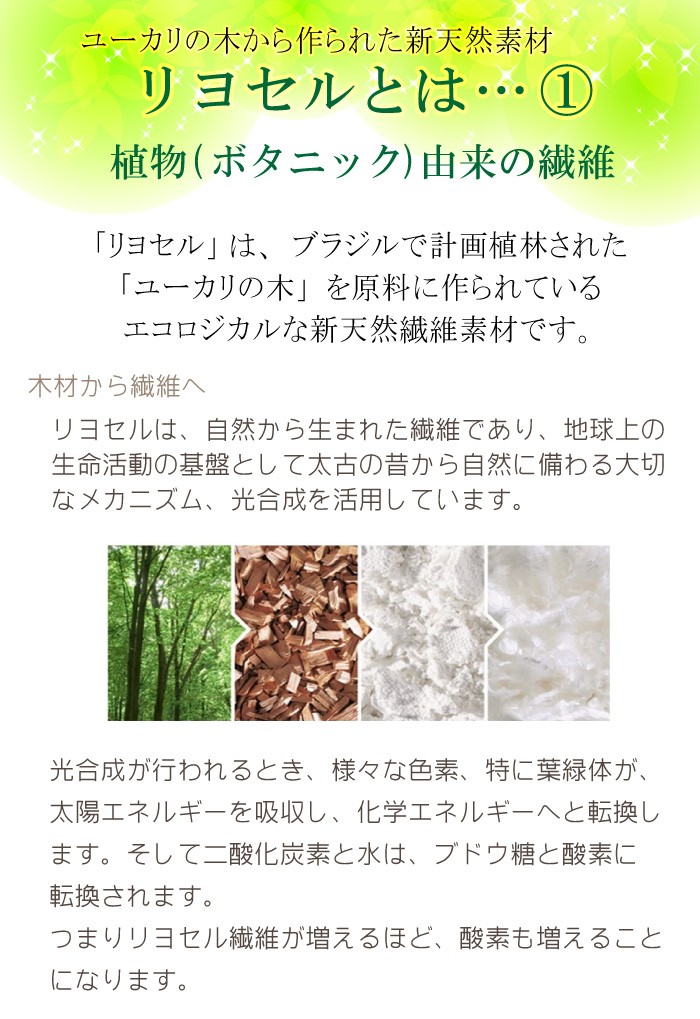 Sealy シーリーベッド ラテックスピロー アナトミック 枕 まくら