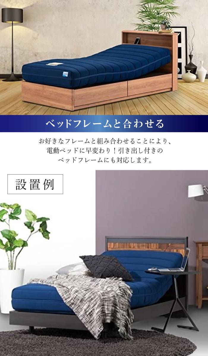 フランスベッド 開梱設置付 正規品 RP-2000BAE 電動