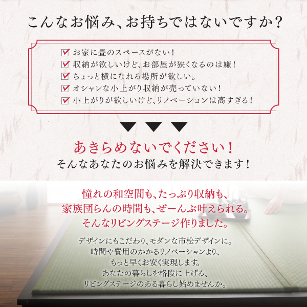 日本製 収納付きデザイン畳リビングステージ そよ風 そよかぜ 畳ボックス収納 120×120cm ロータイプ 高さ30cm 内装 