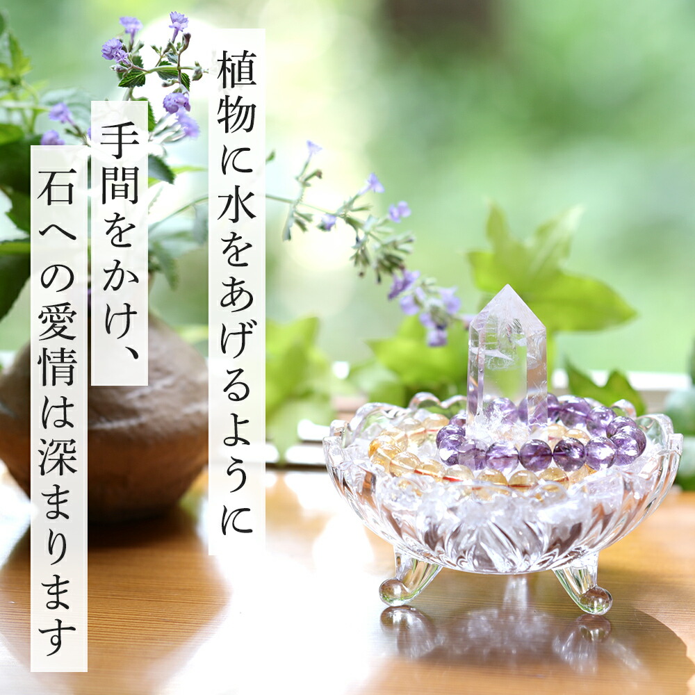 画像15