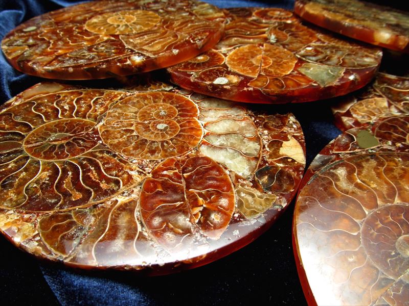 ピンクオパール アンモナイト 握り石 貝 2 ピンクオパール