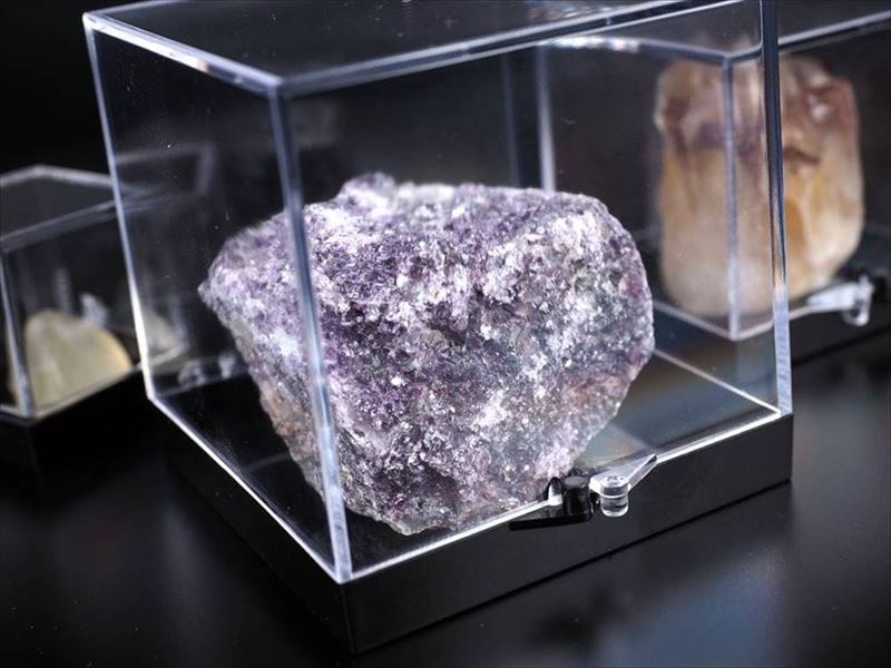 開運 コレクションの保管・展示に Lサイズ ディスプレイ用クリアケース