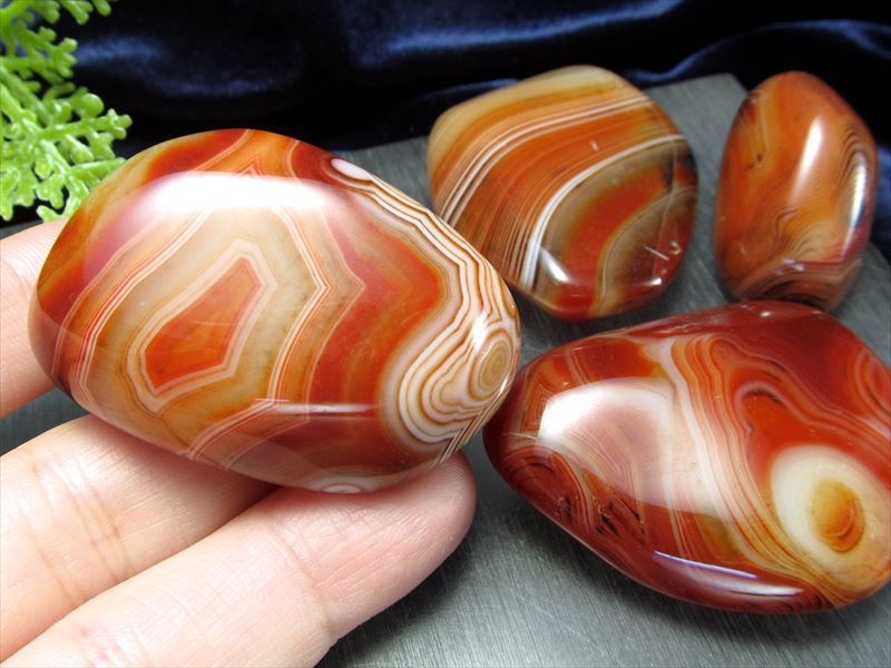 サードニクス　紅縞瑪瑙 マダガスカル産　天然　原石 482g 特大　台座付き Tum]サードニクス （縞瑪瑙） | クリスタル・ワールド御徒町店