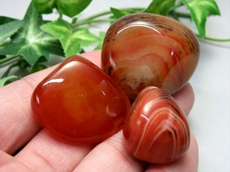 サードオニキス（赤縞瑪瑙）ポリッシュタンブル 100gセット 1袋約3-5個