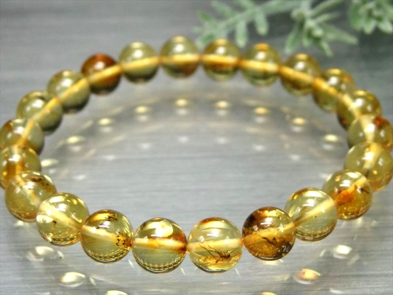 ハッキリ虫入り 5A 虫入りアンバー 天然虫入り琥珀 ブレスレット 8.5mm