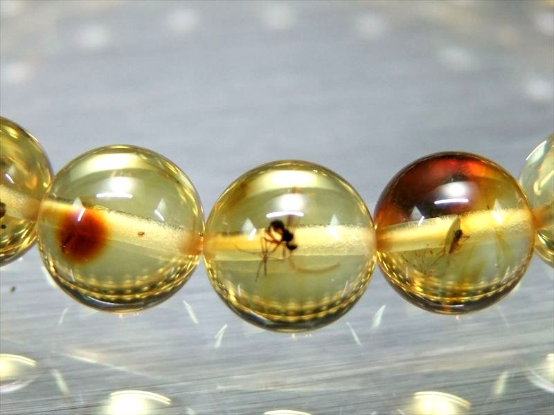 ハッキリ虫入り 5A 虫入りアンバー 天然虫入り琥珀 ブレスレット 8.5mm