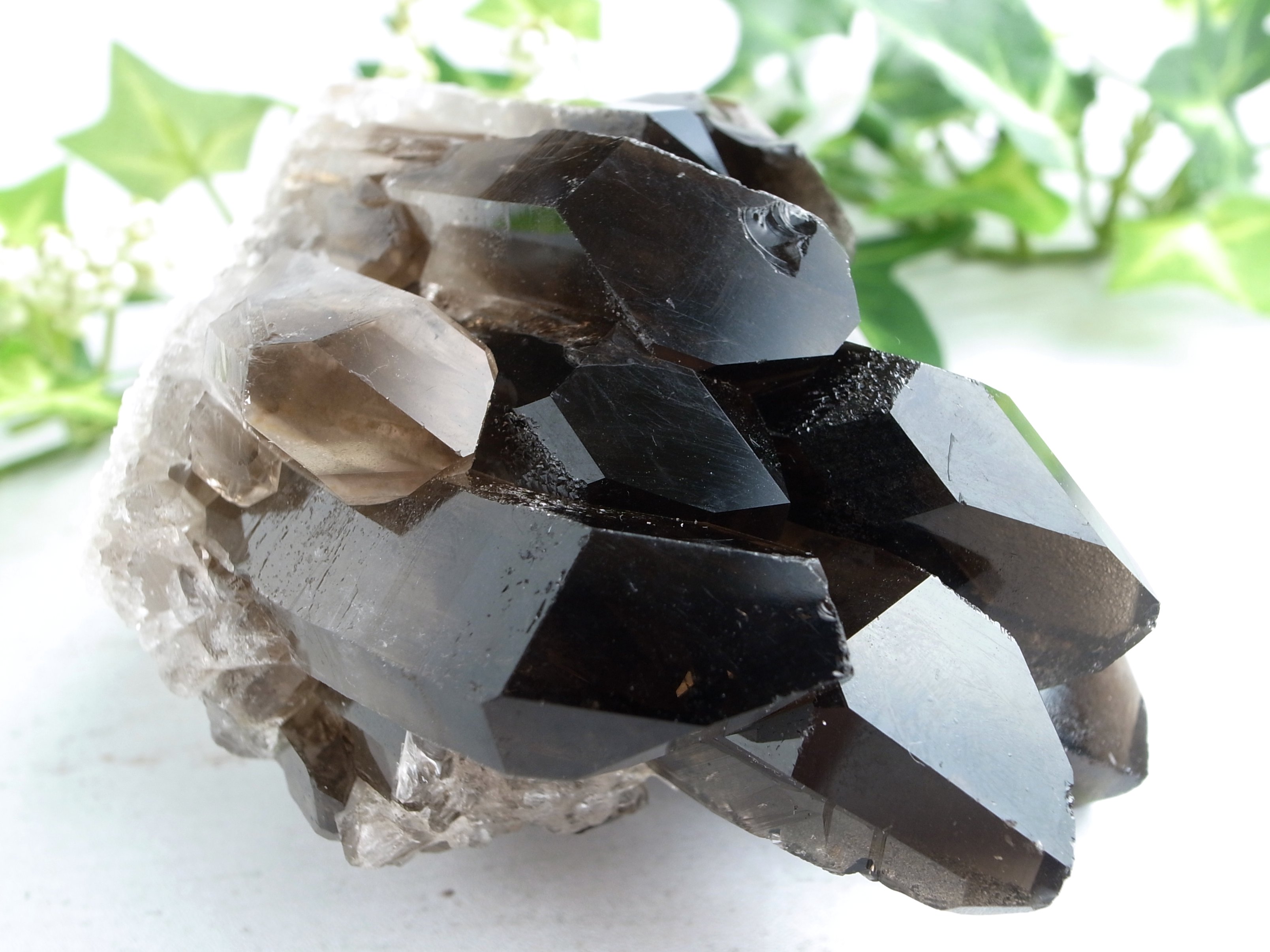 モリオン　ブラジル産　クラスター　原石 トップクォリティ]ブラジル産モリオン原石クラスター/天然黒水晶