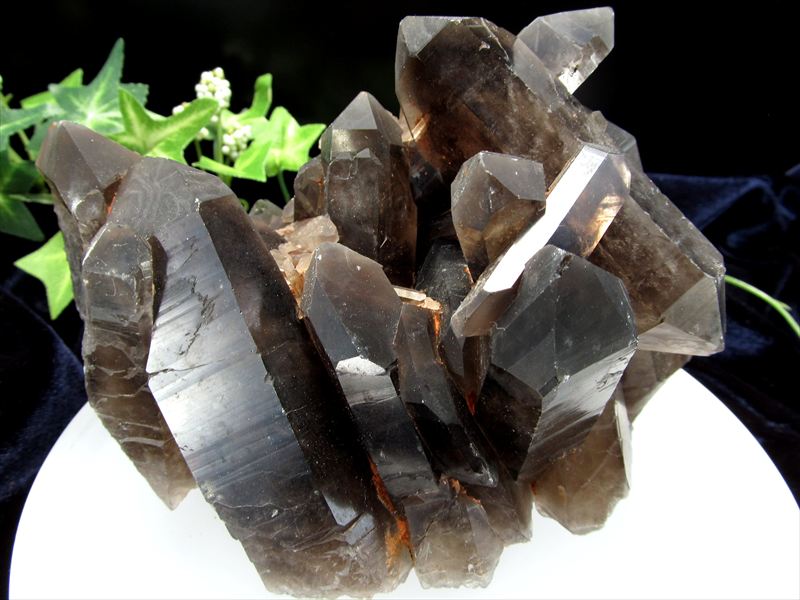 モリオン⭐️天然石⭐️クラスター⭐️浄化⭐️黒水晶⭐️原石⭐️水晶⭐️運気アップ⭐️ 41NxclsoyDL._AC_UL210_SR210,