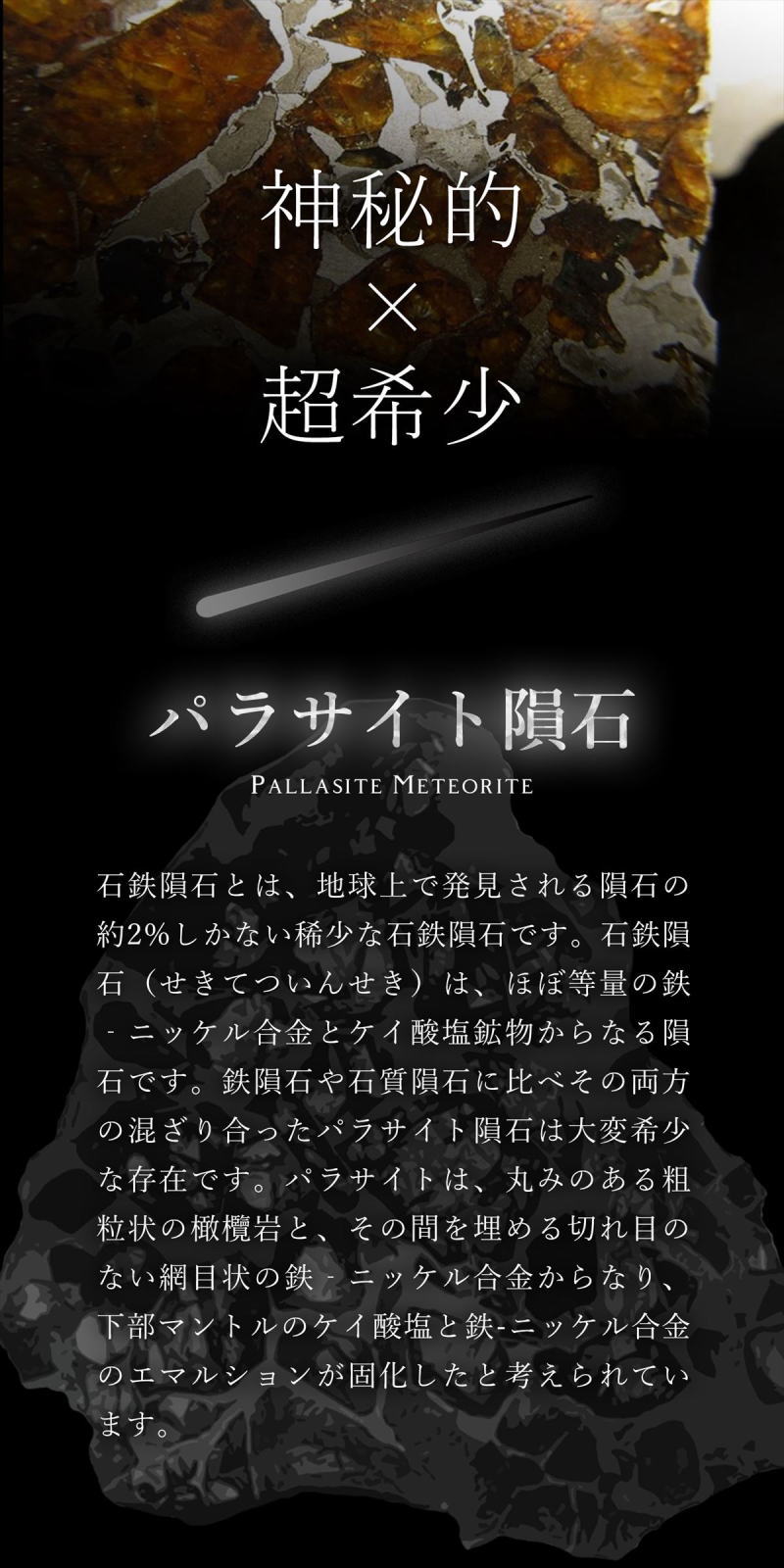 セリコ隕石 パラサイト隕石 原石 スライスプレート 最大幅約28.3mm 約