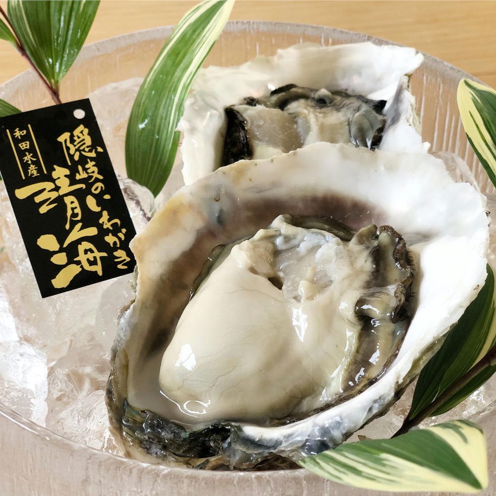 隠岐 ブランド 岩ガキ いわがき 清海 Mサイズ 250g〜300g 10個