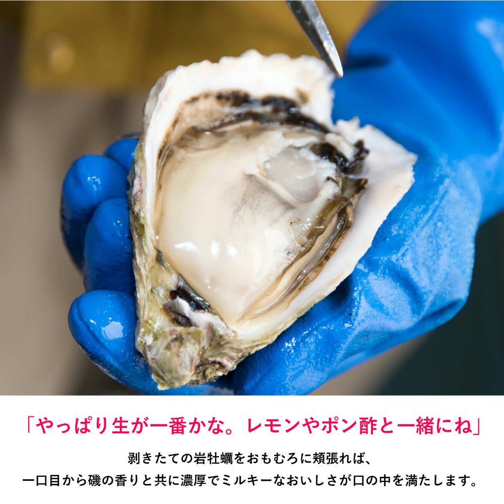 隠岐 ブランド 岩ガキ いわがき 清海 Mサイズ 250g〜300ｇ 10個セット