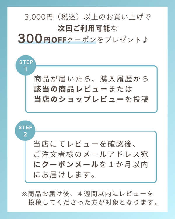 AXCEL アクセル 冷風機 卓上 クーラー ミスト USB スペースクーラー