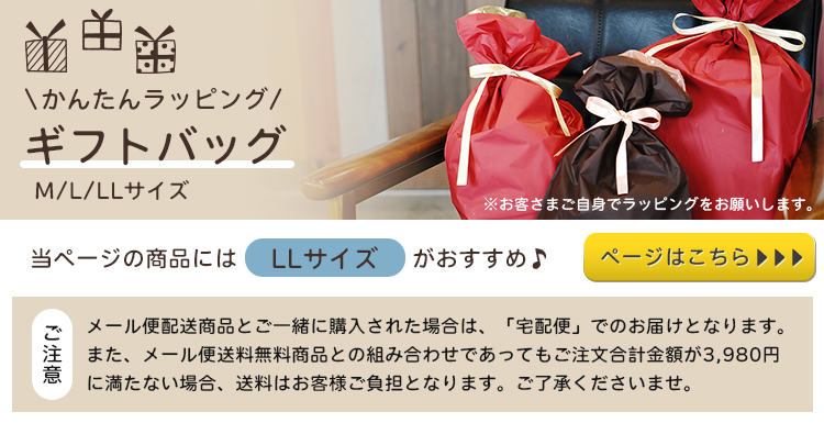 DADWAY（ダッドウェイ） D by DADWAY 撥水レッスンバッグ 入園 入学