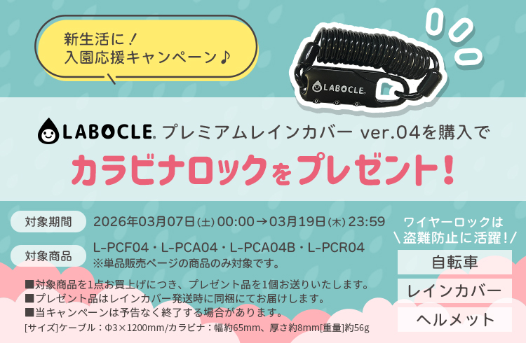 カラビナロックプレゼント