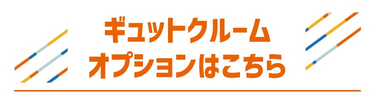 オプションこちら