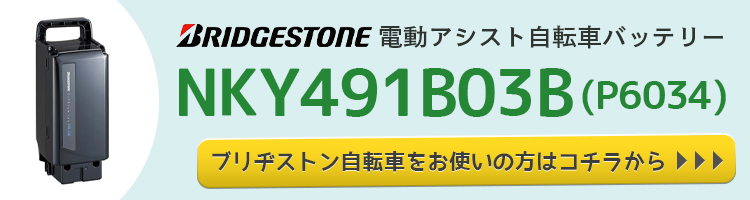 BS NKY491B03B へ