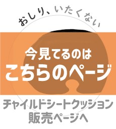 今見てるのはこちら_クッション