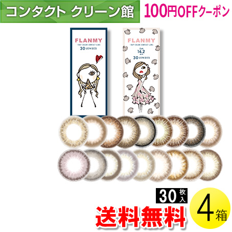 FLANMY 30枚入×4箱 / 送料無料